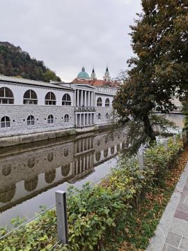 Ob Ljubljanici